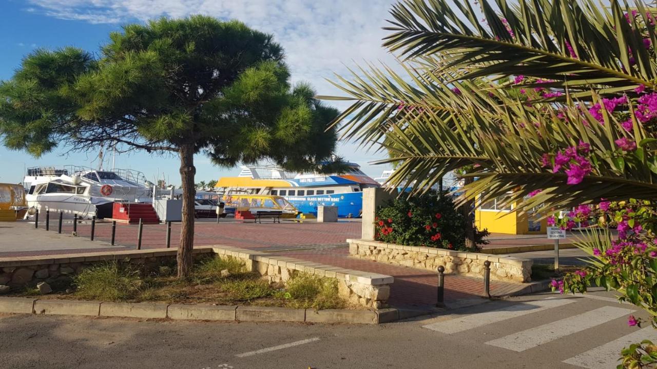 Apartamento Pepi Adults Only Santa Pola Buitenkant foto