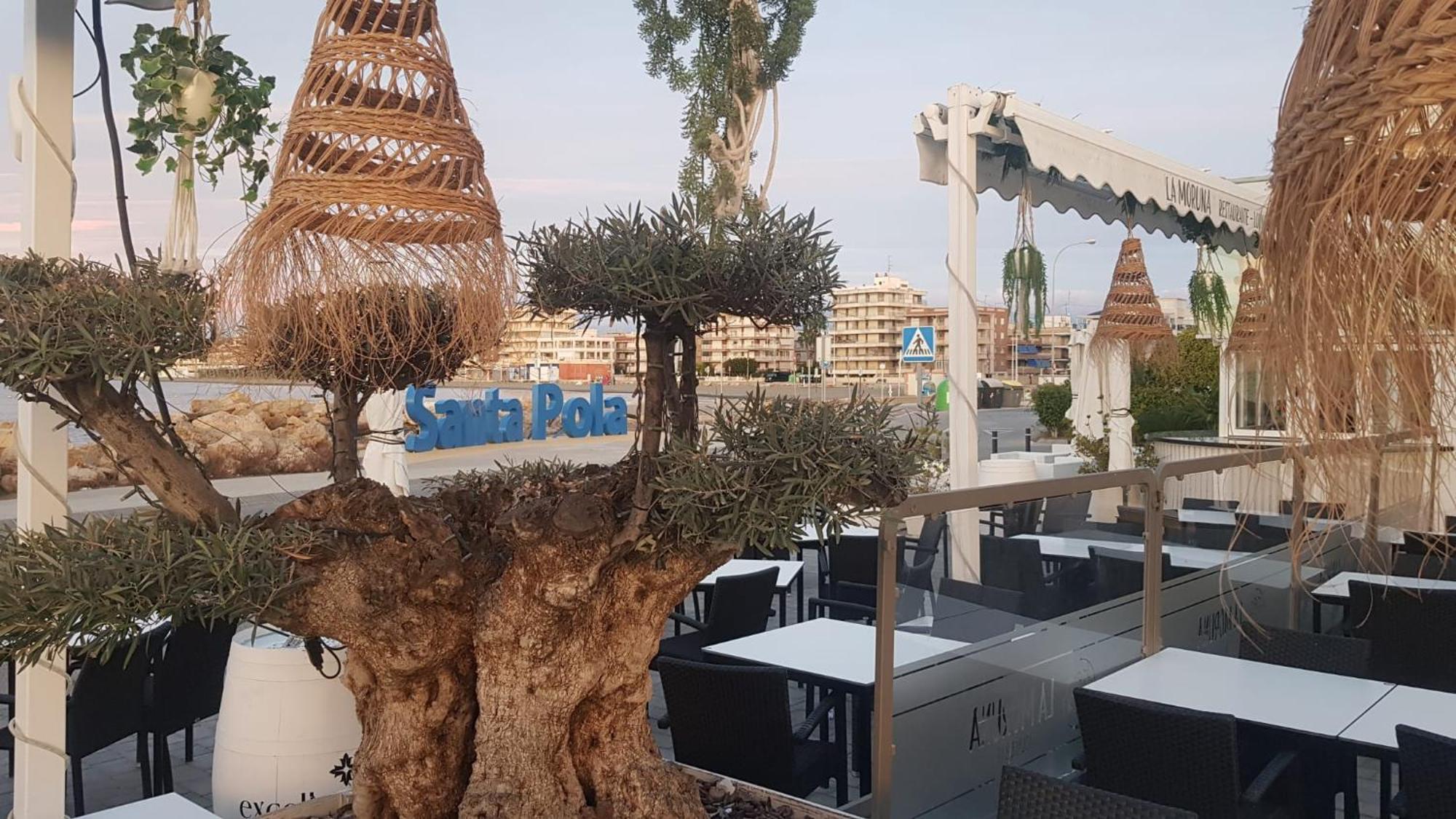 Apartamento Pepi Adults Only Santa Pola Buitenkant foto